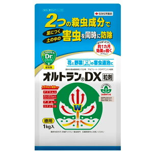 ZFw| Ig DX  1kg