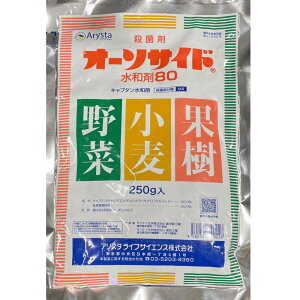 I[\TCh a80 250g AX^CtTCGX Eۍ | K[fjO ƒ؉  ʎ _