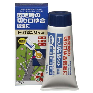 ZFw| gbvWMy[Xg 100g Eۍ