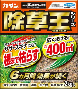 J_ I[L[  2kg  t}L[ G \h _