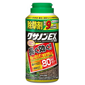 ZFw|  NTmEX  400g ƒp XXL TT _