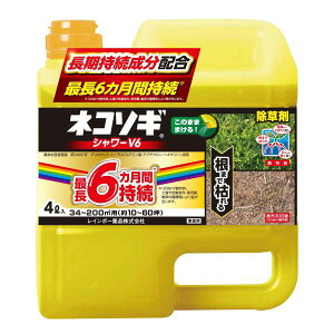 lR\M V[V6 4L C{[i  t V[^Cv ƒp G 쏜 _