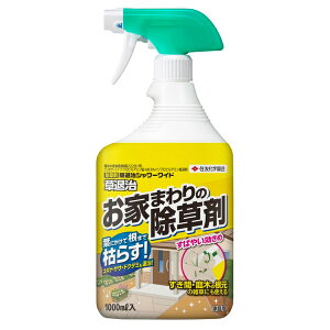 ZFw| Ƃ܂̏ ގV[Ch Xv[ 1000ml ƒp G 쏜 _