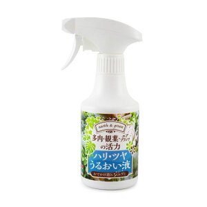 Ԃ EϗtEGAvc̊ nEc 邨t 300ml ͉t ͍ Xv[ L  ϗtA A