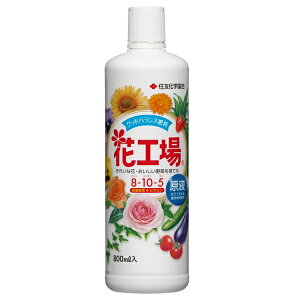 ZFw| ԍH t 800ml