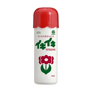 A[X EARTH A[XK[f CLCL؉ԉ