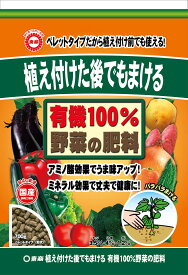 野菜の肥料 700g 東商