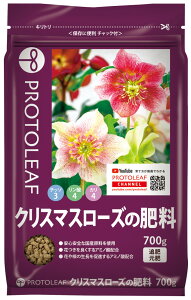 NX}X[Y̔엿 700g vg[t ǔ  A~m_