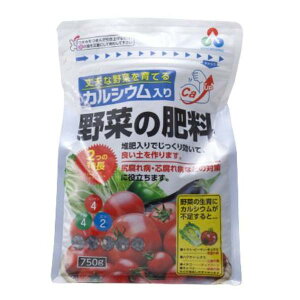 H JVE ؂̔엿 750g ͔ Ka ca ΍ \h g}g  ƒ؉