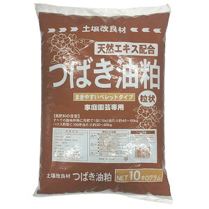 yzsbXz TAhz[v ΂  ybg^Cv 10kg yǍ | ƒ؉ K[fjO