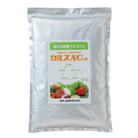 楽天市場】レック 水の激落ちくん 詰替 2000ml S01062 マルチ
