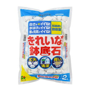 yzsbXz ꂢȔ 2L Ԃ zCgXg[ y y | K[fjO