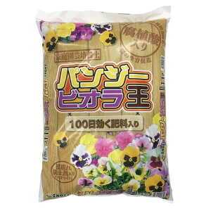 yzsbXz hyY pW[ErI 14L |{y Ɍ엿