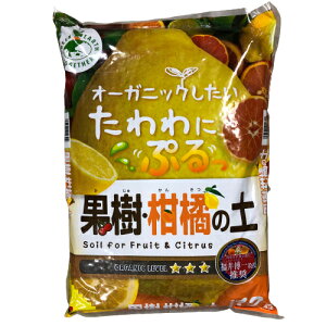 Ԃ ʎEk̓y 12L |{y | py k 