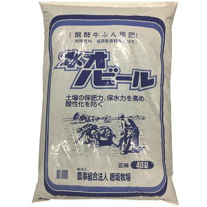 yzsbXz _Ƒg@l q yӂ lImr[ 40L ͔ 엿 | ƒ؉ K[fjO