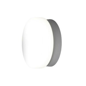 ACXI[} IRIS OHYAMA |[`E ~^ 1000lm F IRCL10N-CIPLS-BS Vo[ O hJ h LED 100W  Ɩ