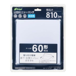 I[d@ lp` LED ~jV[O LE-Y7DK-WK V[OCg OHM ` 810lm 60` F L  gC Ɩ