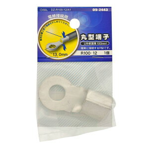 OHM@ی^[q@R100-12/A1 DZ-R100-12/A1 1