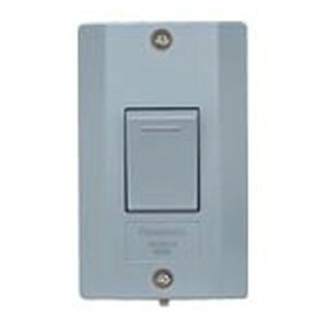 �p�i�\�j�b�N �h�������X�C�b�`B �А� ���C�g�O���[ 15A 300V WS60219H