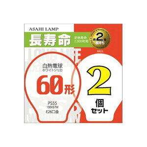 �y�󂠂�z OHM�@�����@�������d��60�`�@2P LW100V57W�^55LL2P