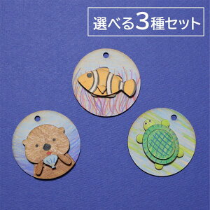 ؍HLbg C̐`[ bREȁEJ Iׂ3Zbg 