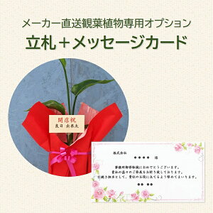 y[J[ϗtApIvVz D{bZ[W fudacard bsÕIvV͕ʔłB P̂ł̍w͂ł܂