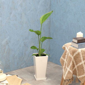 ϗtA I[KX^ 6p ̐F͑S2F / [J[ϗtA augu06