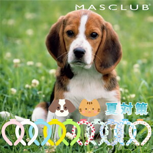 �y2025�H�΍�I�ő�P5�{�z�_�y�V1�ʁ^ �A�C�X�l�b�N�o���h �y�b�g�p �N�[�������O MASCLUB �A�C�X�N�[�������O �l�b�N�N�[���[ �⊴�����O �����O�N�[�� �����΍� ��p �N�[���V���O �y�b�g ��