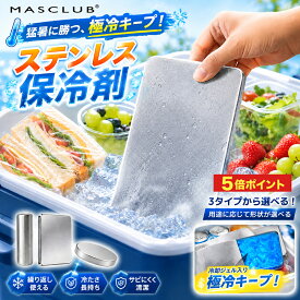 【当日発送】保冷剤 ステンレス保冷剤 長時間 強力保冷 小型 クーラーボックス 繰り返し使える 冷蔵 冷凍対応 急速冷却 アイスパック お弁当 釣り キャンプ BBQ アウトドア キャンプ 熱中症対策 スピード冷凍 ステンレス製アイスパック 保冷パック