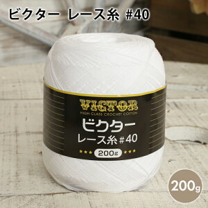 [X 40 _}ю rN^[ [X #40 200g ю Z[ Rbg 100 { [Xj j fB[X [X҂ ҂ ҂ݕ | nhCh  Xq V[ X