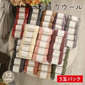 毛糸 まとめ買い 5玉 ごしょう産業 いろどりウール 日本製 毛糸 セール 毛 ウール100％ 秋冬毛糸 かぎ針 棒針 ニット 手編み 編み物 レディース 手芸 ハンドメイド 帽子 ベスト セーター ストール ショール