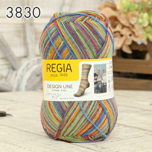 毛糸 ソックヤーン Schachenmayr REGIA レギア 中細 DESIGN LINE 4PLY デザインライン 毛糸 輸入糸 regia ソックヤーン 靴下 かぎ針 棒針 ニット 手編み 編み物 レディース ハンドメイド 帽子 マフラー ス