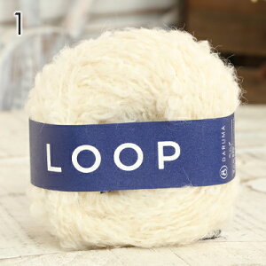 ySSAt^[N[|zzIzю _}ю [v LOOP { E[ H~ю j _j jbg ҂ ҂ݕ fB[X Y | nhCh  Xq }t[ Xk[h