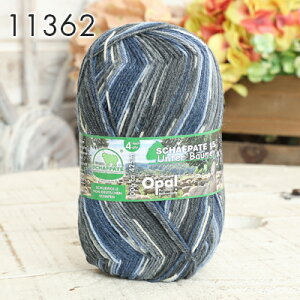 ySSN[|zzIzю opal Ip[ю  schafpate15 V[tp[e 4-fach A hCc \bN[ C H~ю j _j jbg ҂ ҂ݕ fB[X nhCh Xq 