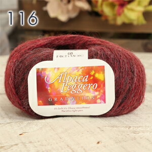 毛糸 極太 リッチモア アルパカレジェーロ グラデーション イタリア製 アルパカ 秋冬毛糸 かぎ針 棒針 手編み 編み物 レディース ハンドメイド 帽子 マフラー セーター ベスト バッグ 小物