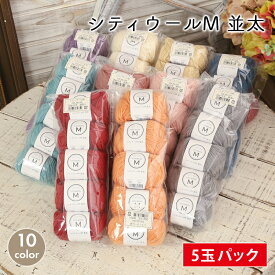 毛糸 セール まとめ買い 5玉 並太 スキー毛糸 シティウールM 並太 中国製 ウール かぎ針 棒針 ニット 手編み 編み物 レディース 手芸 ハンドメイド 手作り 帽子 マフラー スヌード ストール セーター ベスト