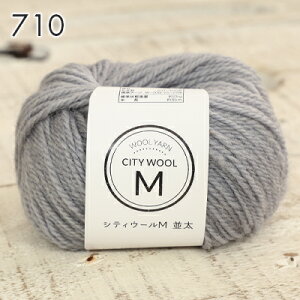 毛糸 セール まとめ買い 5玉 並太 スキー毛糸 シティウールM 並太 中国製 ウール かぎ針 棒針 ニット 手編み 編み物 レディース 手芸 ハンドメイド 手作り 帽子 マフラー スヌード ストール セ