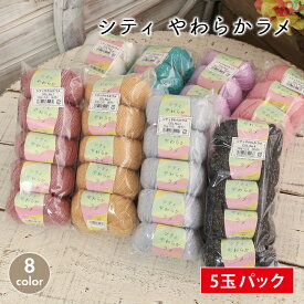 毛糸 セール まとめ買い 5玉 並太 スキー毛糸 シティやわらかラメ 中国製 ラメ キラキラ ポリエステル かぎ針 棒針 ニット 手編み 編み物 レディース 手芸 ハンドメイド 手作り 帽子 マフラー スヌード ストール セーター ベスト