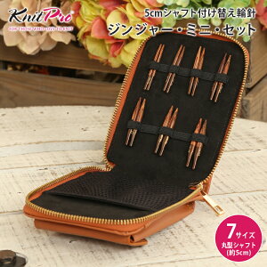 KnitPro �j�b�g�v�� GINGER �W���W���[ 5cm�V���t�g�t���ւ��֐j �W���W���[�E�~�j�E�Z�b�g �֐j �֐j�Z�b�g �҂ݐj �ю� KnitPro �j�b�g�v��