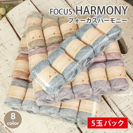 【2/10は当店ポイント10倍！】毛糸 セール まとめ買い 5玉 スキー毛糸 フォーカスハーモニー 合太 日本製 春夏毛糸 サマーヤーン レーヨン かぎ針 棒針 ニット 手編み 編み物 レディース 手芸 ハンドメイド 手作り 帽子 マフラー スヌード ストール セーター ベスト