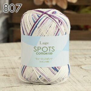 Rbg ю Z[ XL[ю [WX|bcRbg100  i T}[[  Rbg j _j jbg ҂ ҂ݕ fB[X | nhCh  Xq }