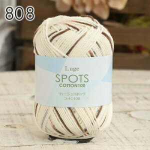 y12/5͓X|Cg10{IzRbg ю Z[ XL[ю [WX|bcRbg100  i T}[[  Rbg j _j jbg ҂ ҂ݕ fB[X | 