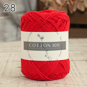 y11/20͓X|Cg10{IzRbg ю Rbg100  { tĖю T}[[  Rbg ю Z[ C`J j _j jbg ҂ ҂ݕ fB[X nhCh 