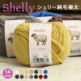【SSアフタークーポン配布中！】毛糸 極太 スキー毛糸 シェリー純毛極太 中国製 毛糸 セール 秋冬毛糸 ウール 棒針 かぎ針 ニット レディース 手芸 ハンドメイド 帽子 バッグ マフラー スヌード セーター ベスト