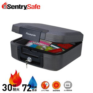 yIׂv[gtzZg[ |[^u30ω΁Ehۊǌ CHW20101 CWV[Y