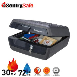 yIׂv[gtzZg[ |[^u30ω΁Ehۊǌ CHW30100 CWV[Y