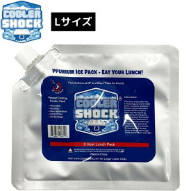 【即納在庫品】 COOLER SHOCK 保冷剤 クーラーショック Lサイズ 単品 7CSLS