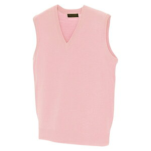 ACgX VlbNxXgijpj J[FsN TCYFL iSWVxXgj m7860[060n