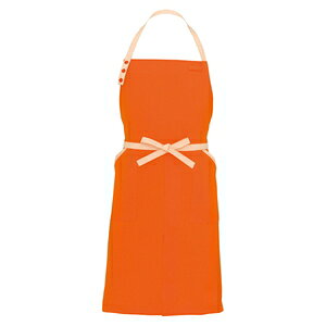 ACgX ăGviR[h[zFj J[FIW TCYFF ilAeGvj m8651[063n