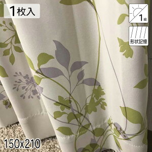 �J�[�e�� �Ռ�1�� �`��L�� �����[�t �O���[�� 150×210 1�� �C�[�W�[�I�[�_�[ E.O ��